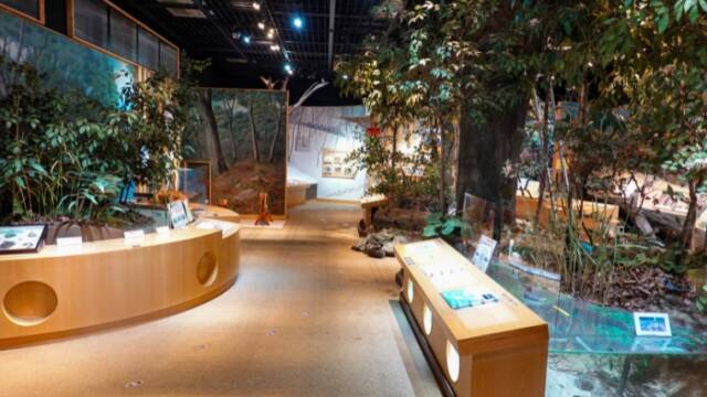 エコミュージアム関ヶ原　自然観察の森　内部